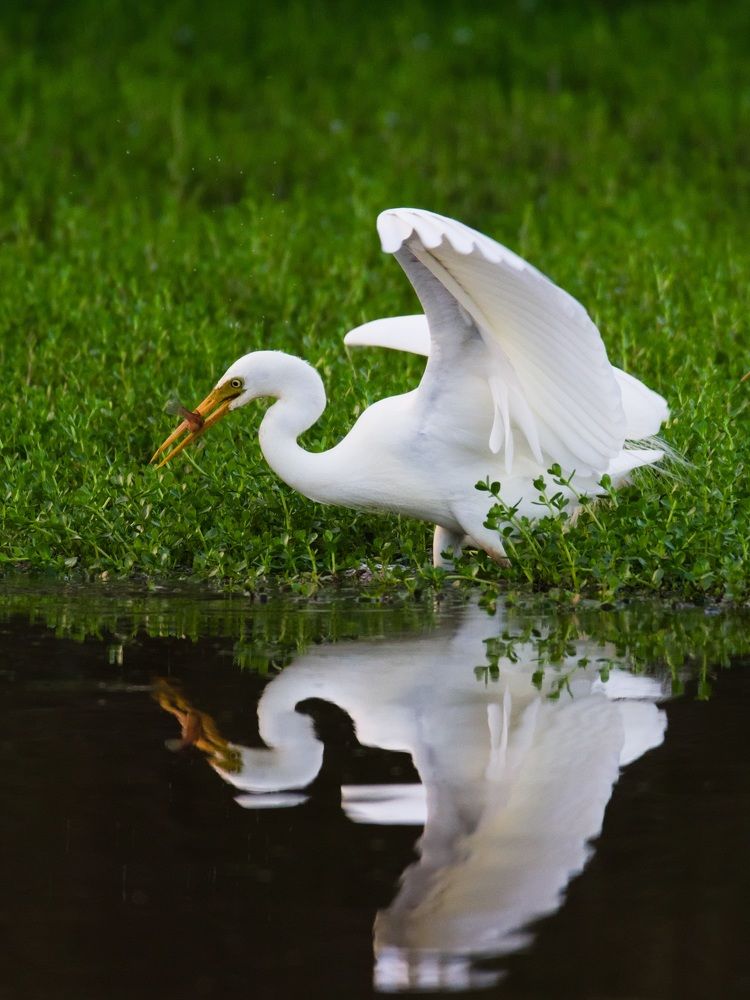 Photograph by Alejandro Rodriguez