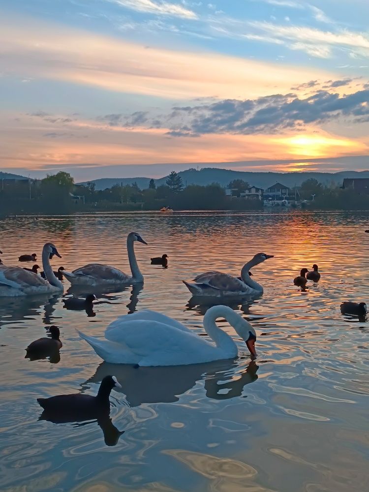 Photograph by Galina Tsmyg