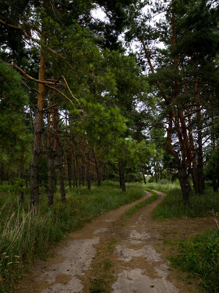 Photograph by Татьяна Макарова