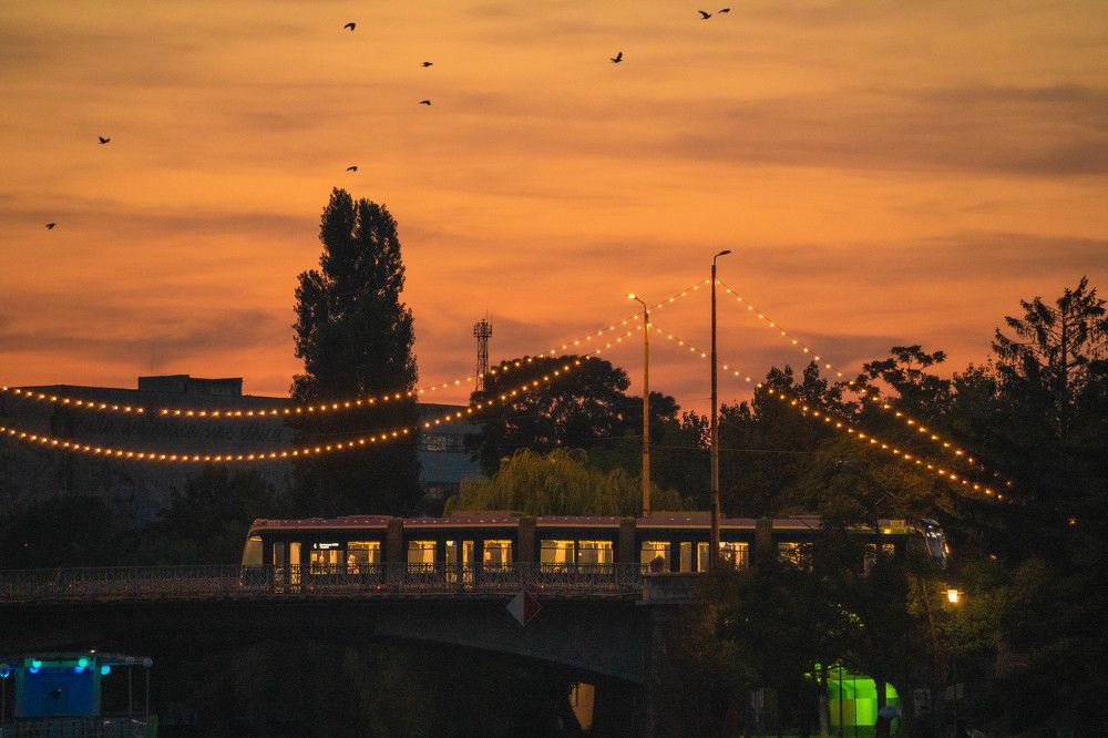 Фотография автора Adrian Vatamanu