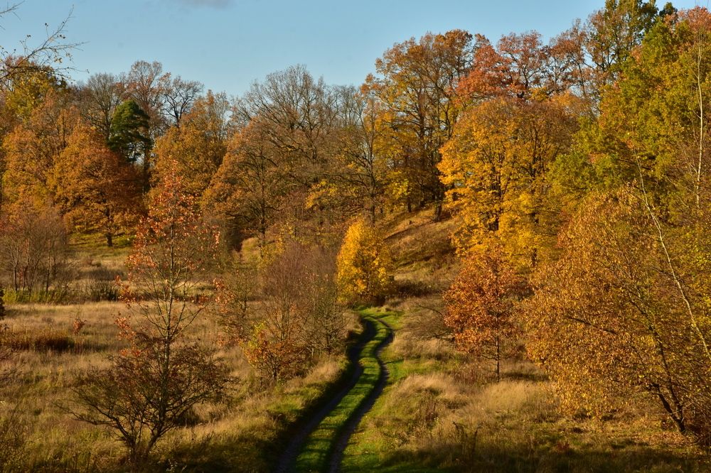 Photograph by Ирина Алексеева
