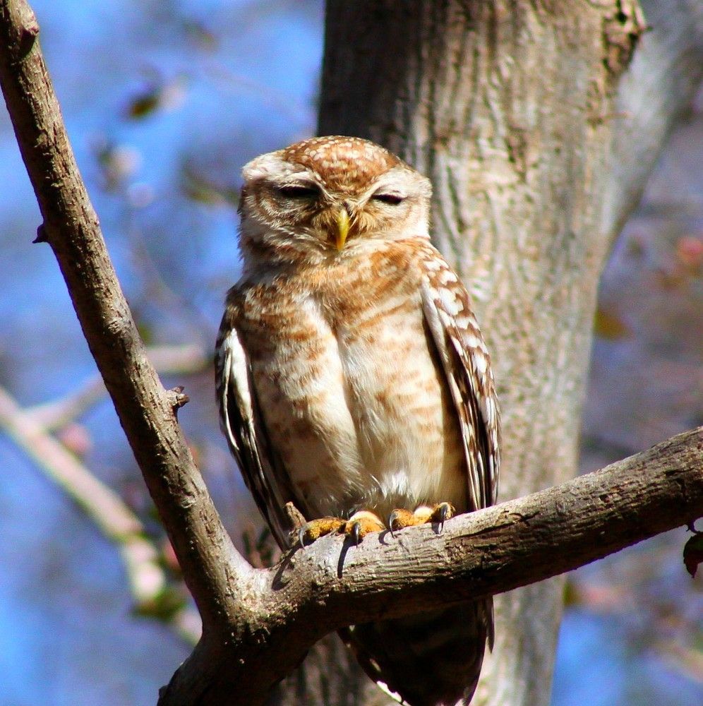 Photograph by PERESHEIN ANDREY