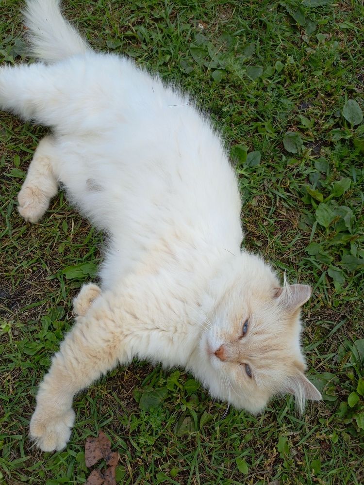 Photograph by Юлия Кондратьева