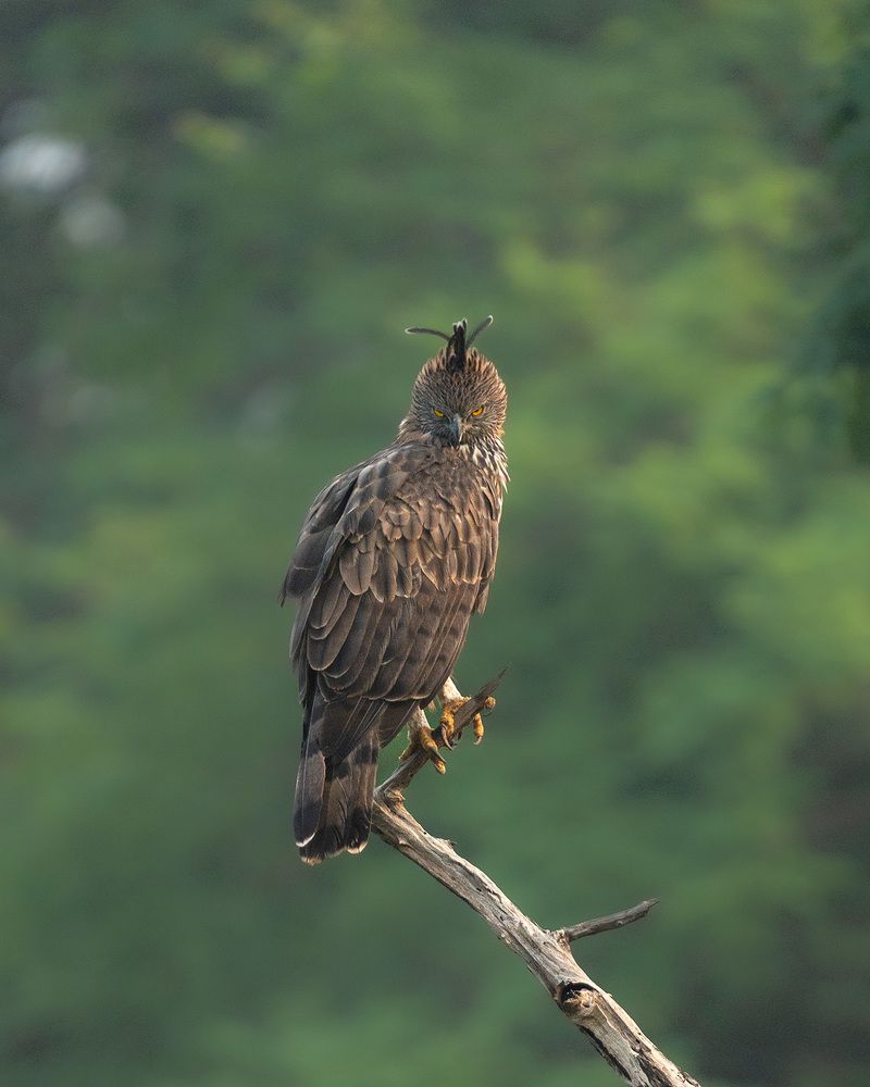 Photograph by Abhishek Kumar