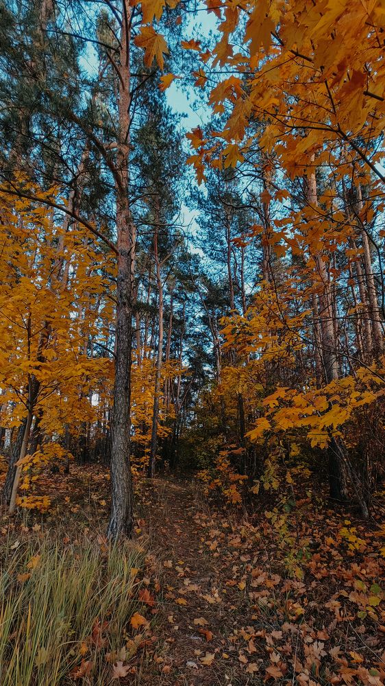 Photograph by Maria Stankevich