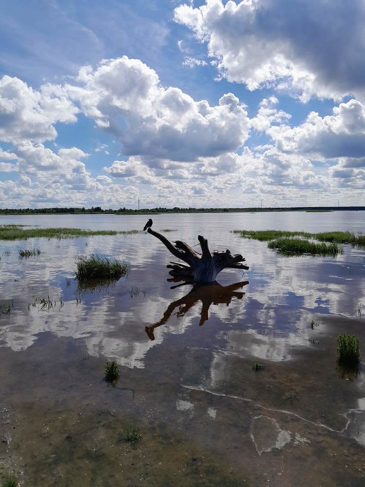 Photograph by Виталий