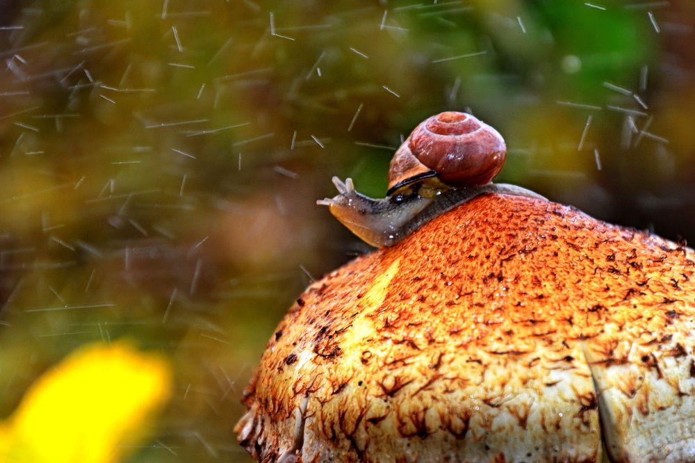 Photograph by Дмитрий Волков