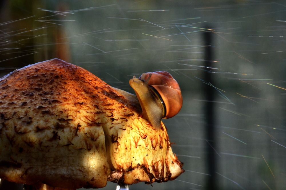 Photograph by Дмитрий Волков