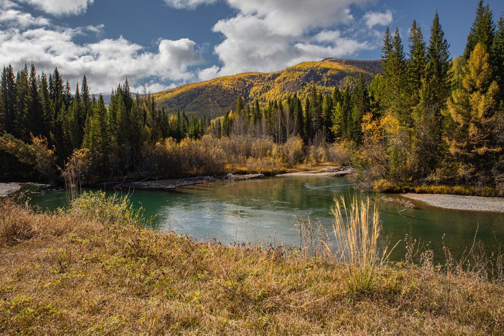 Photograph by Елена Павлова