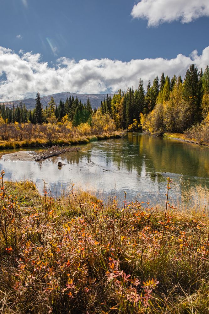 Photograph by Елена Павлова