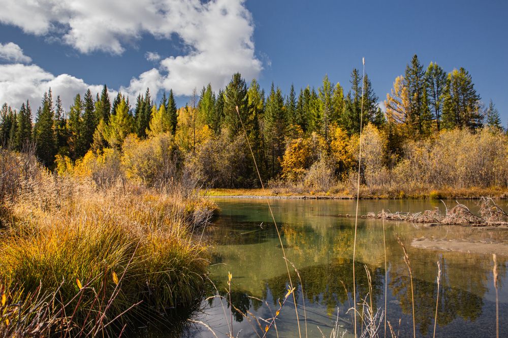 Photograph by Елена Павлова