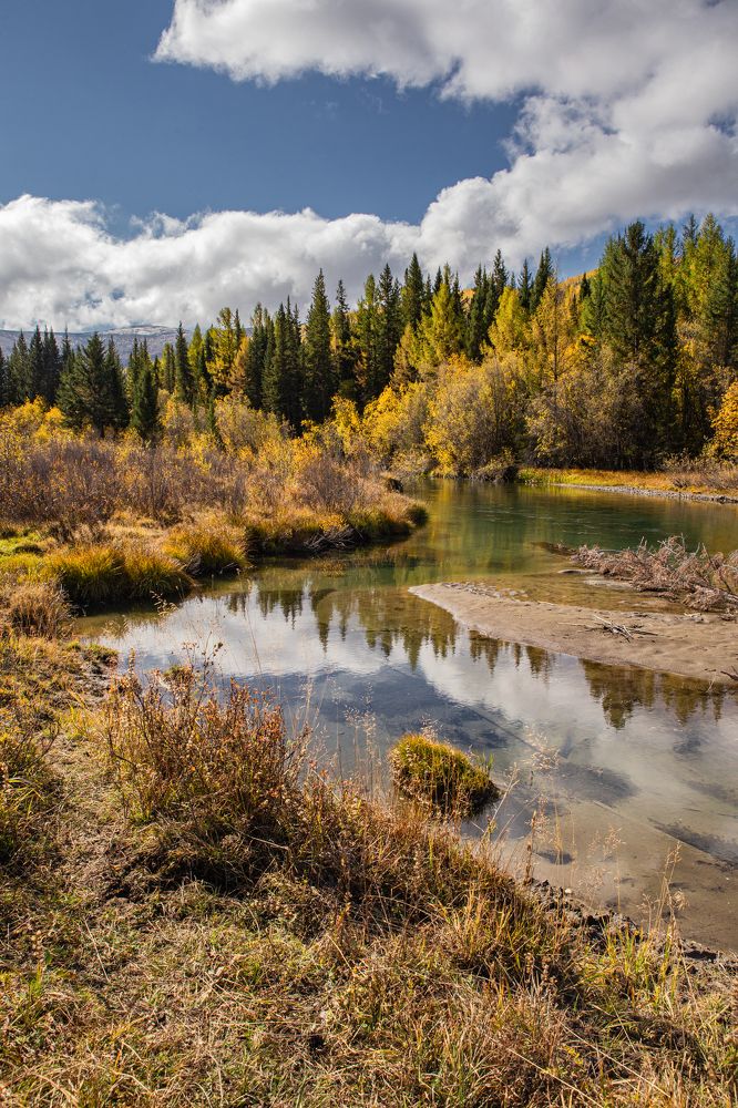 Photograph by Елена Павлова