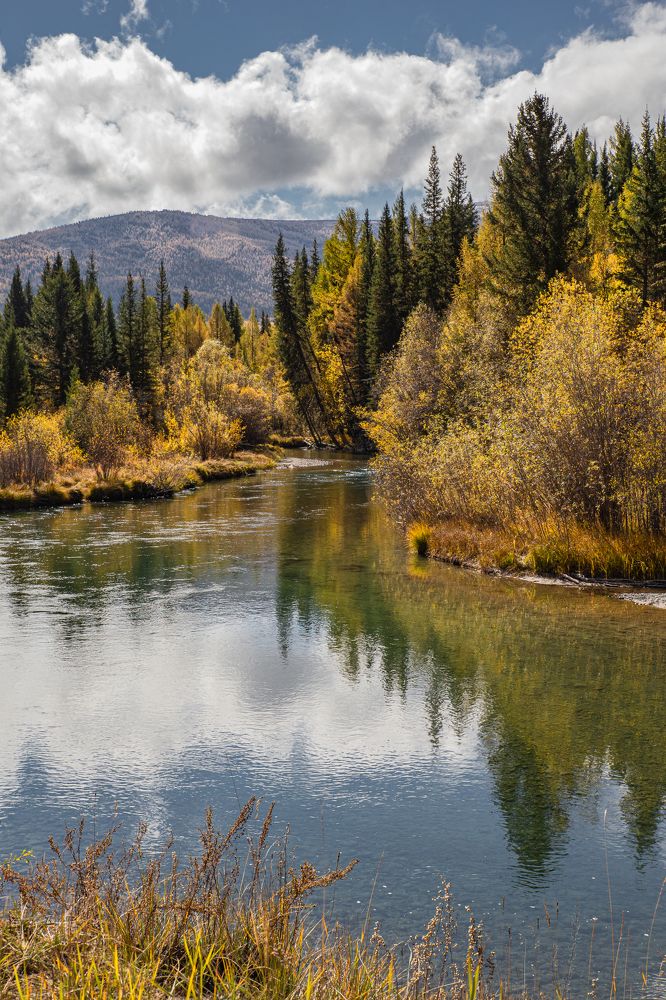 Photograph by Елена Павлова