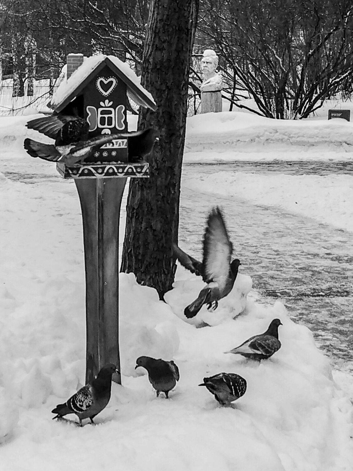Photo #11248347