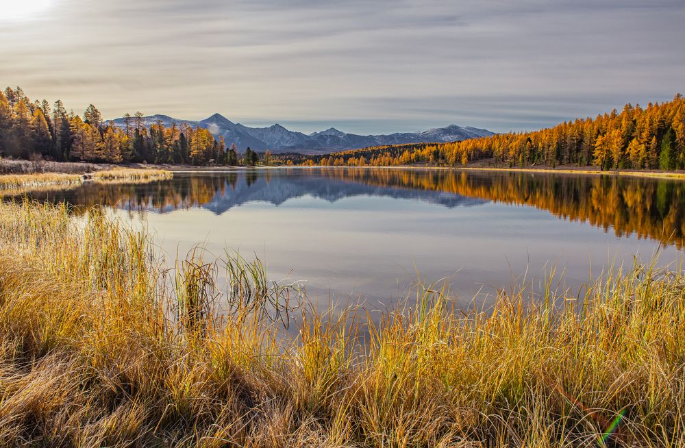 Photograph by Елена Павлова