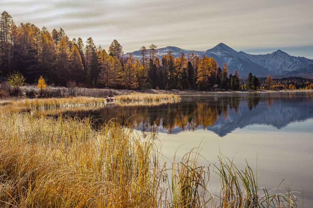 Photograph by Елена Павлова