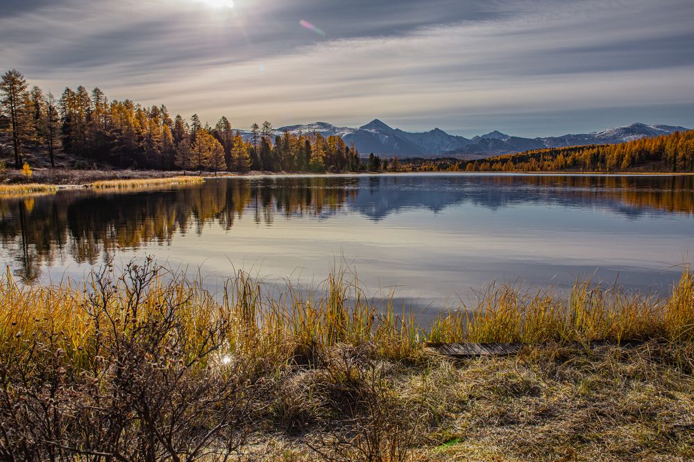 Photograph by Елена Павлова