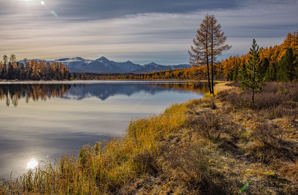 Photograph by Елена Павлова