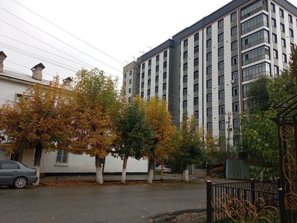 Photo #11248384