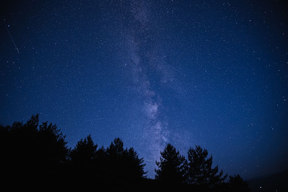 Photograph by Мария Раздорова