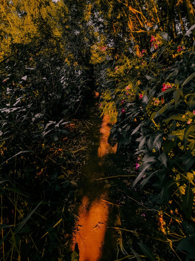 Фотография автора Алиса Исаева