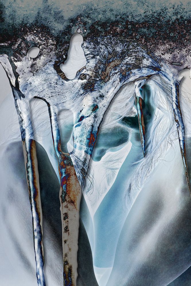 Photograph by Shannon Maltbie-Davis