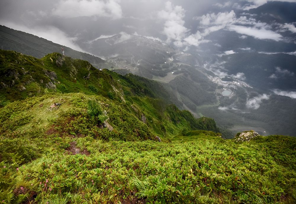 Photograph by Владислав Кравцов