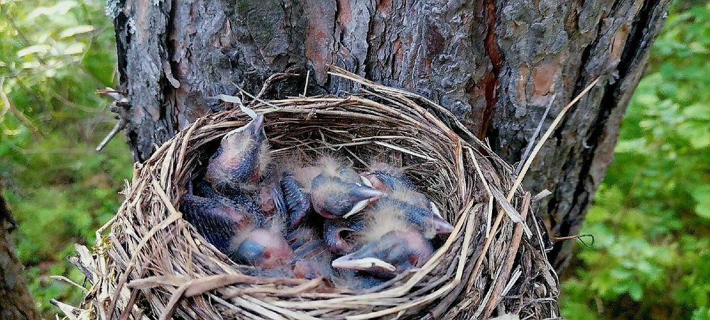 Photograph by Елена Аникеева