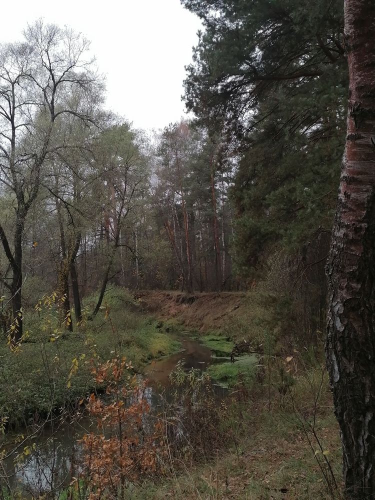 Photograph by Маргарита