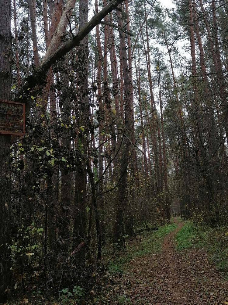 Photograph by Маргарита