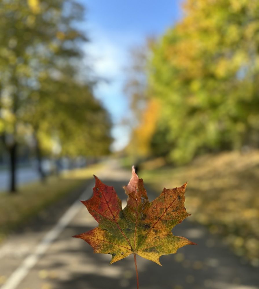 Photograph by Jekaterina Michejeva