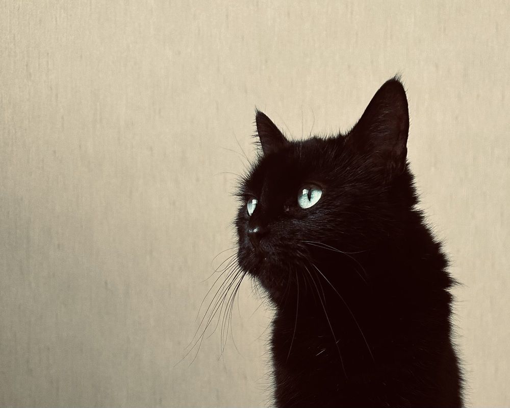 Photograph by Jekaterina Michejeva