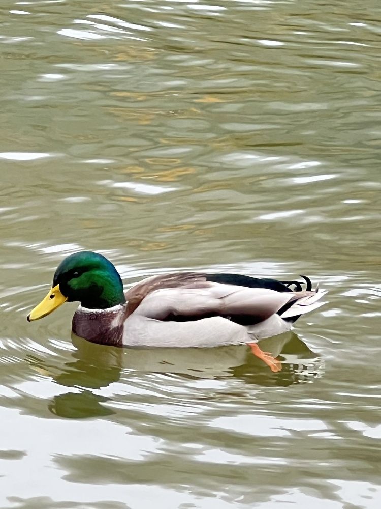 Photograph by Eugenia Schmidt