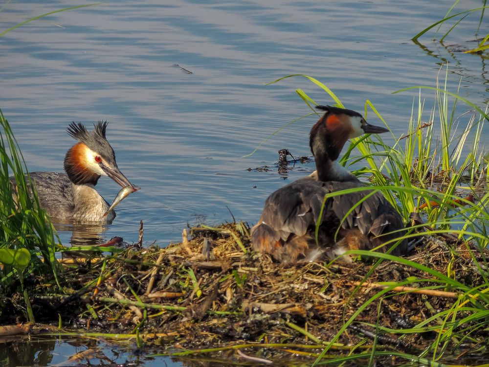 Photograph by Епишев Андрей