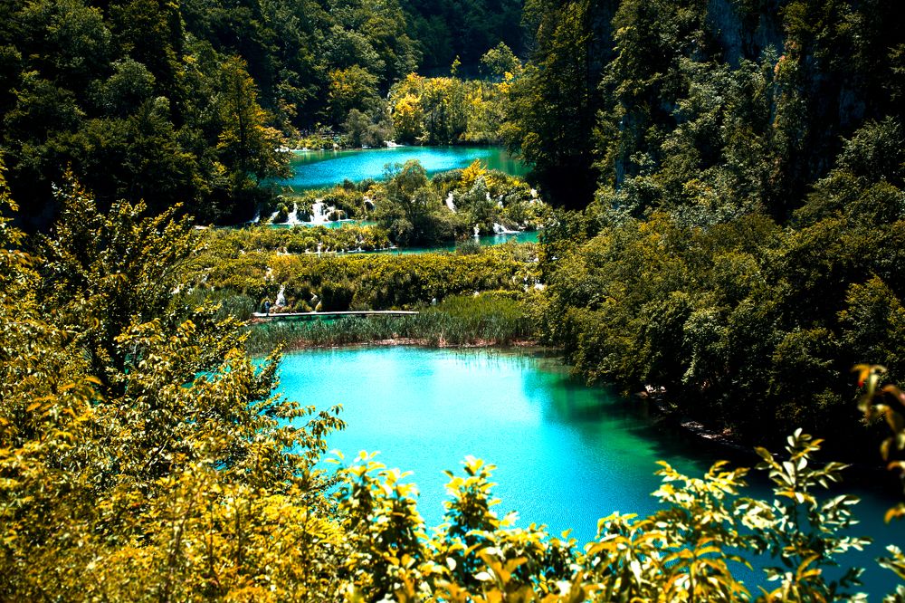 Photograph by Costin Gligor