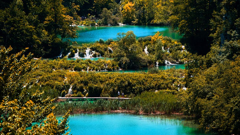 Photograph by Costin Gligor