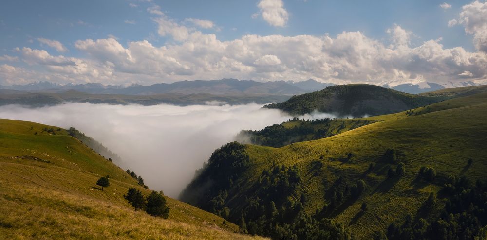 Фотография автора Алексей Бордуков