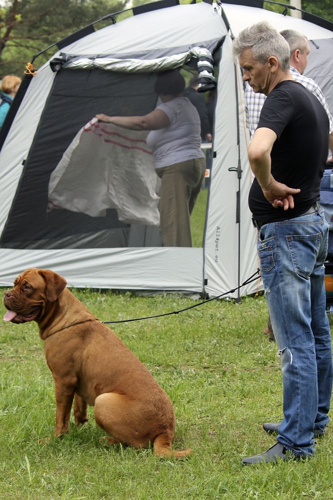 Photograph by Александр Бугаенко