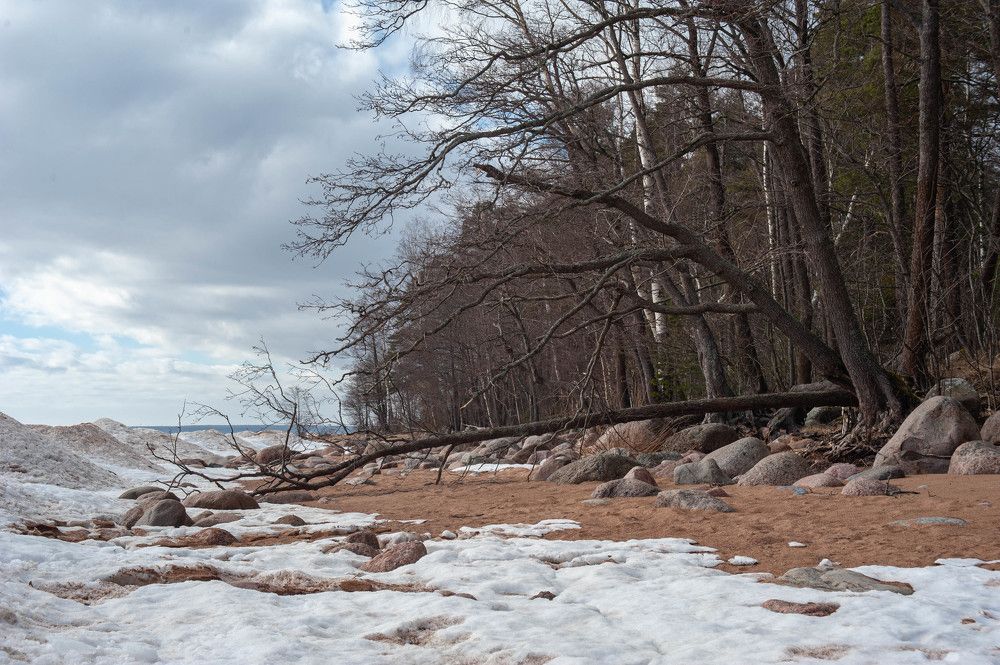 Photograph by Александр Вавулин