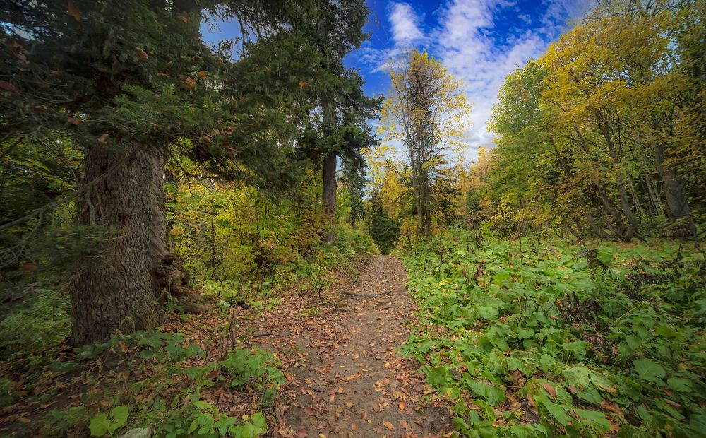 Photograph by Алексей Мякота