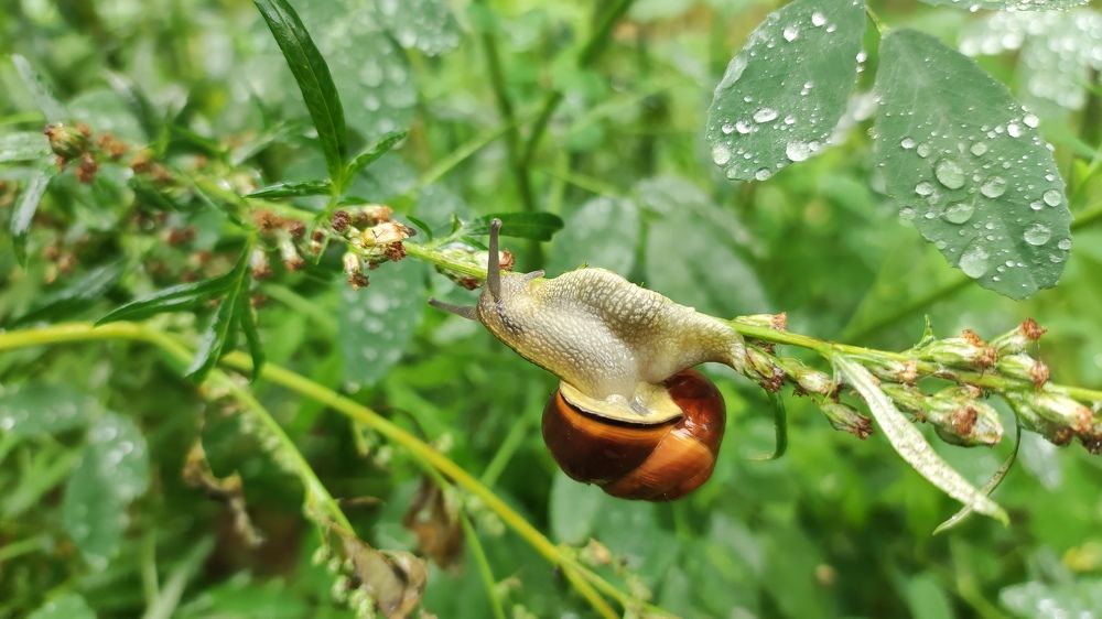 Photograph by Марийона Савоненко