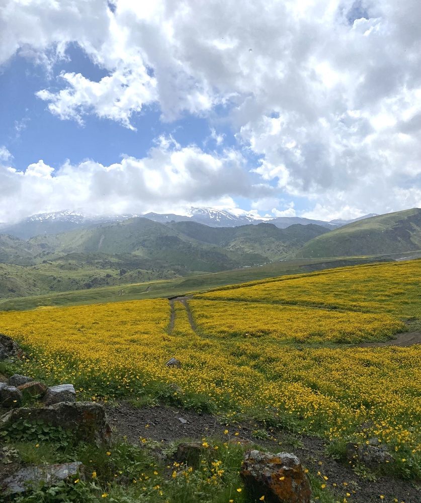 Photograph by Алиса Лукина