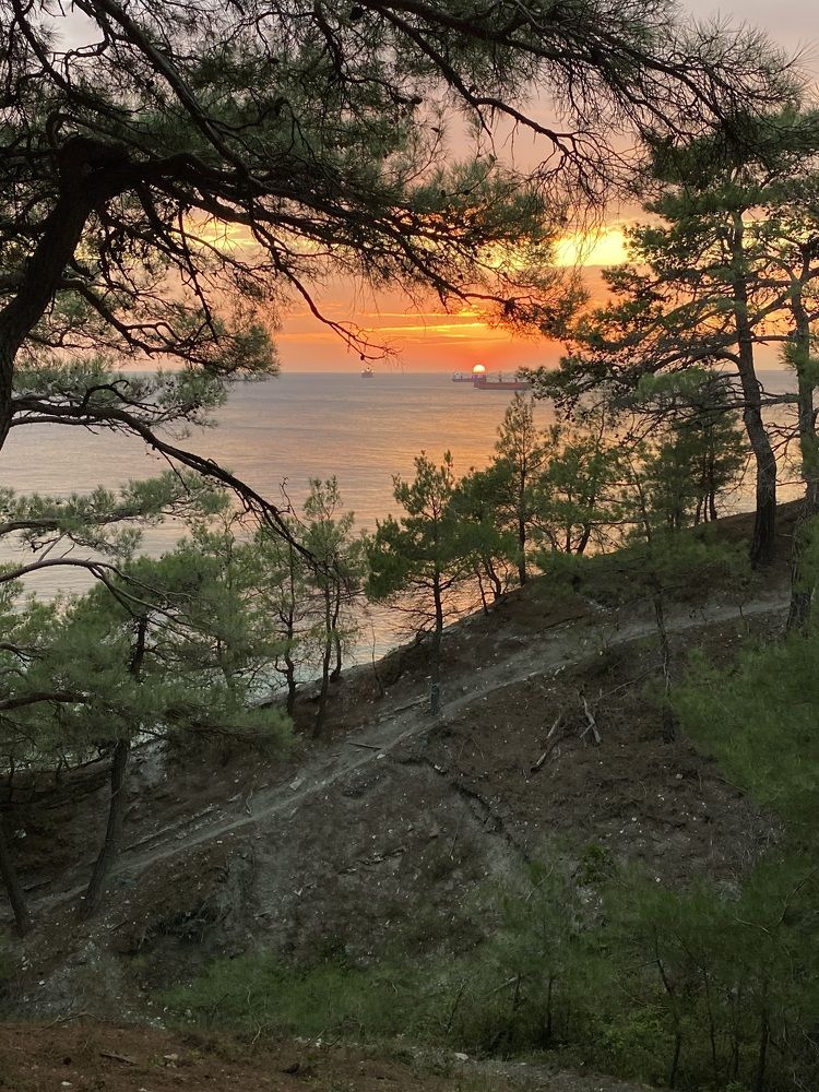 Photograph by Алиса Лукина