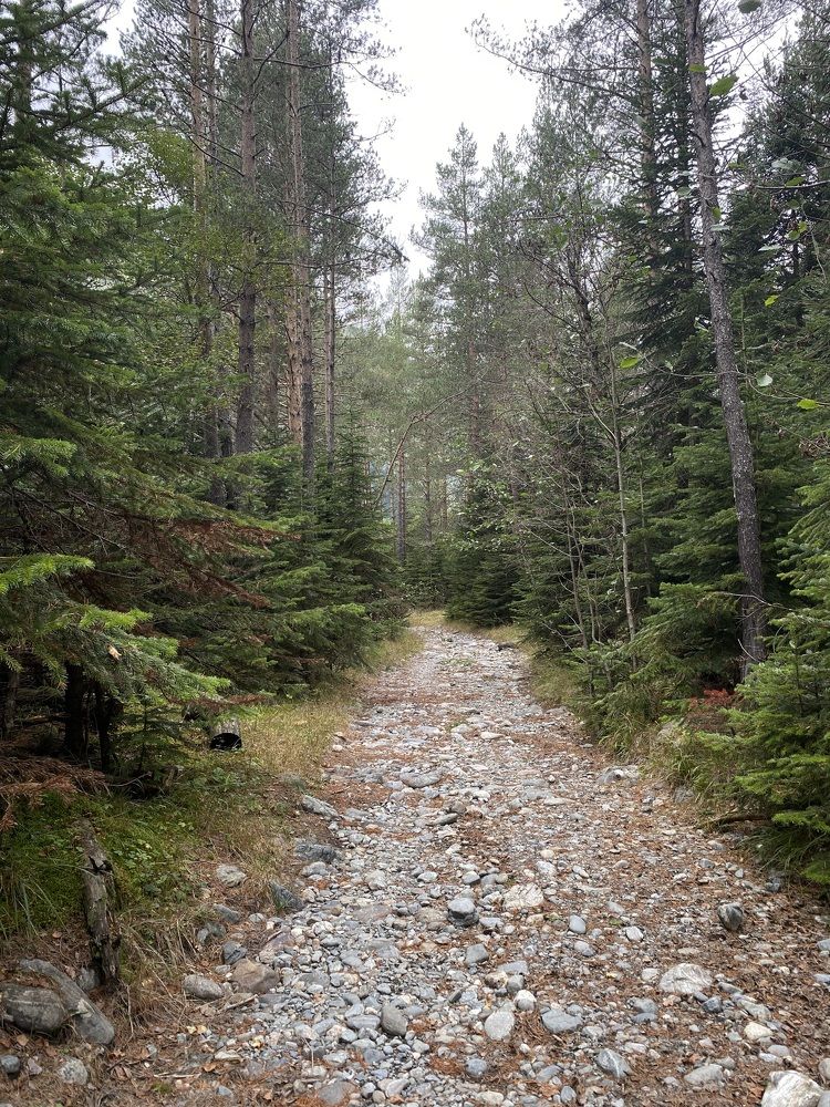 Photograph by Алиса Лукина