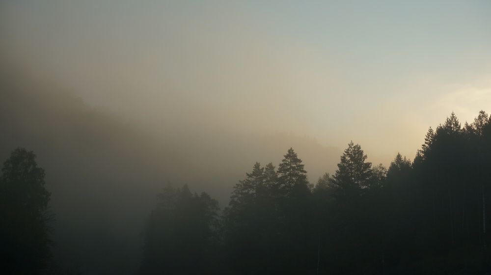 Photograph by Ольга Рыбалова
