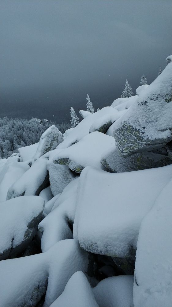 Photograph by Ольга Рыбалова
