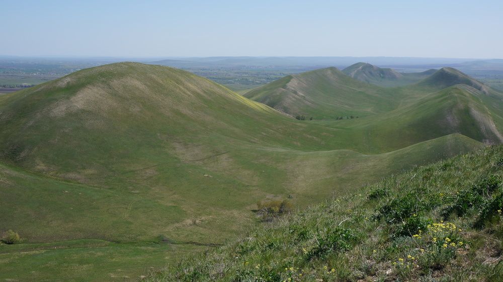 Photograph by Ольга Рыбалова