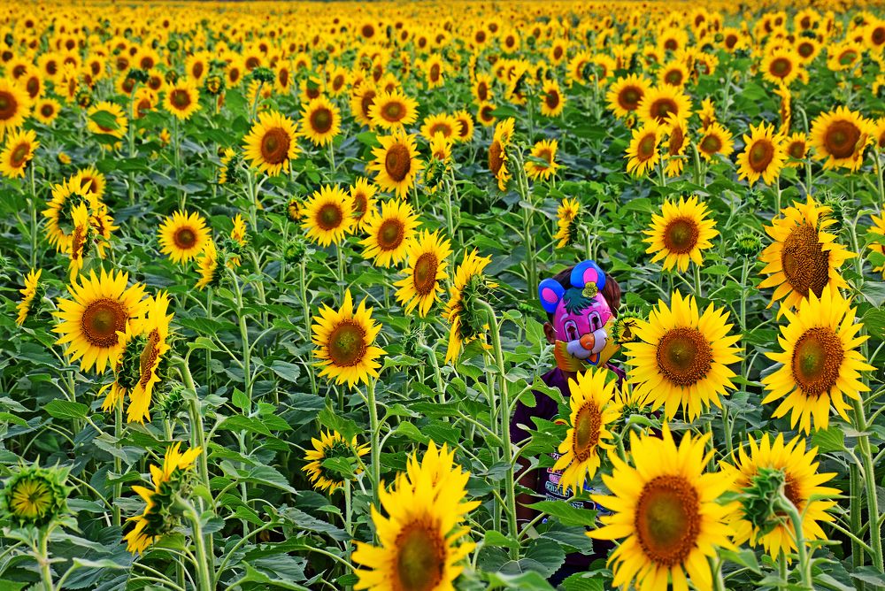 Photograph by CHINMOY BISWAS