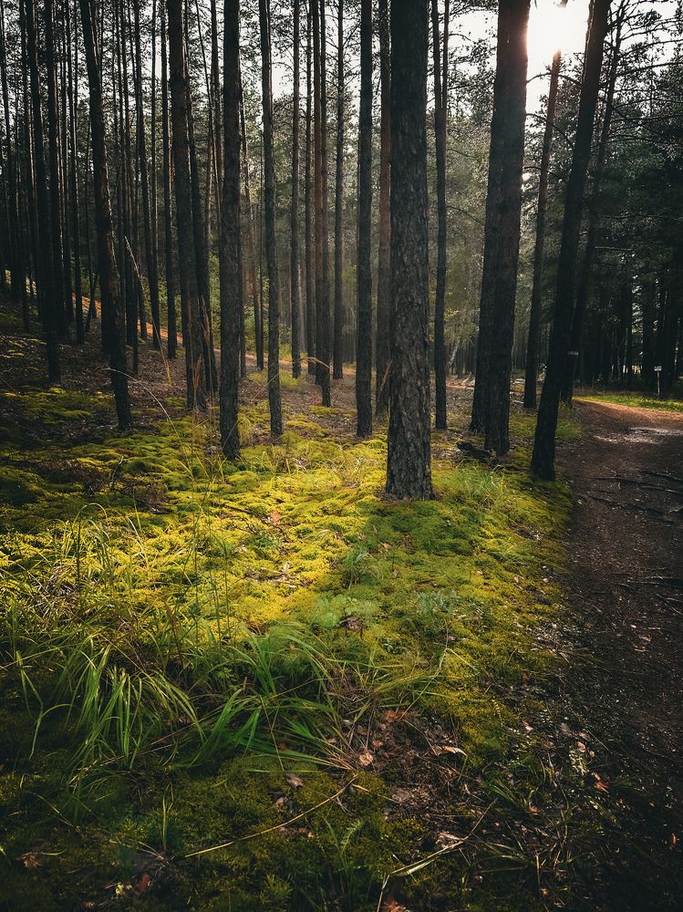 Photograph by ZHANAR JUMABEKOVA