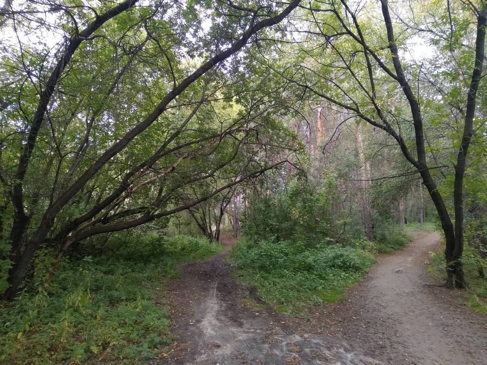 Photograph by Лида